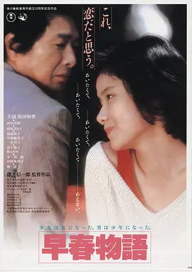 长安三万里 海报